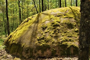Экскурсия в Каменное село